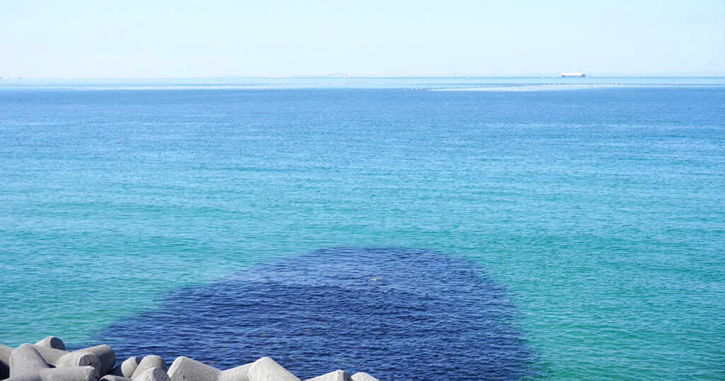 淡路島の海の写真