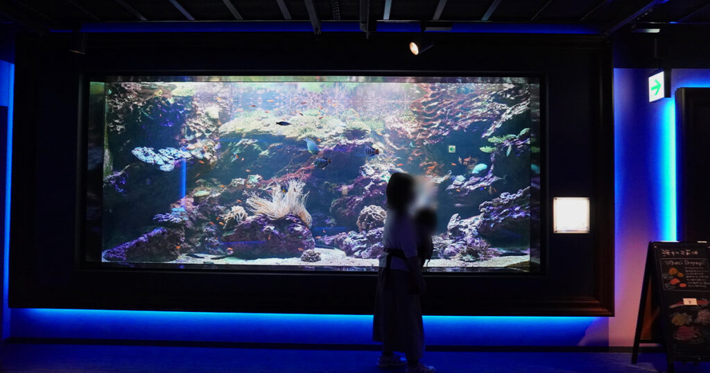 四国水族館の水槽