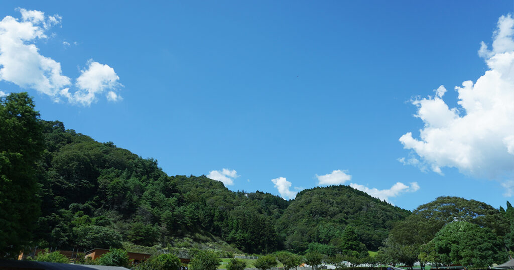 ヨーデルの森から見た青空