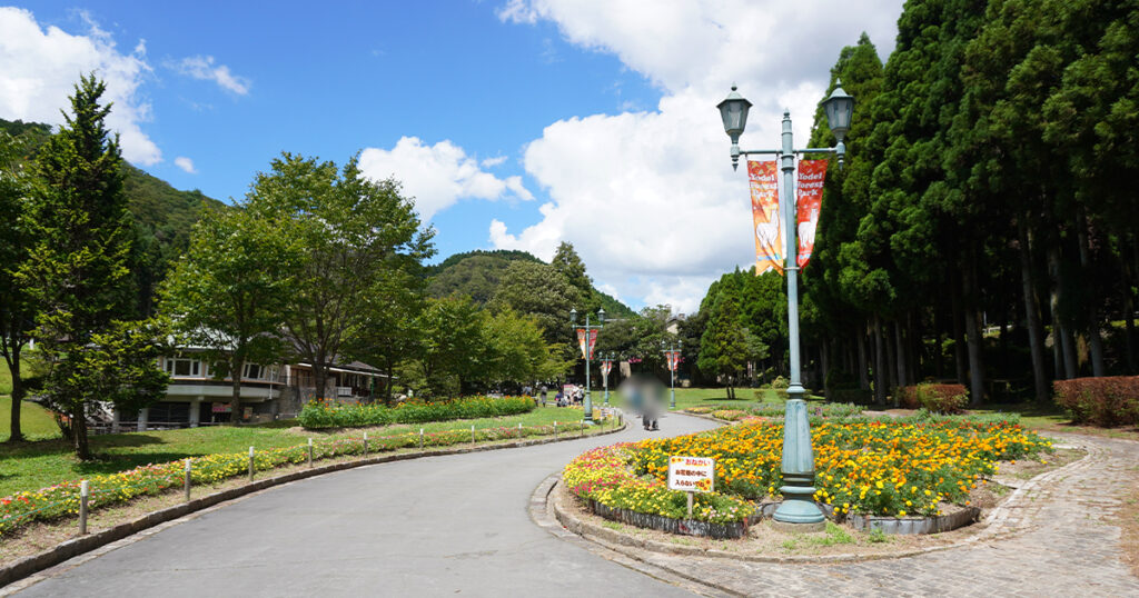 ヨーデルの森の風景