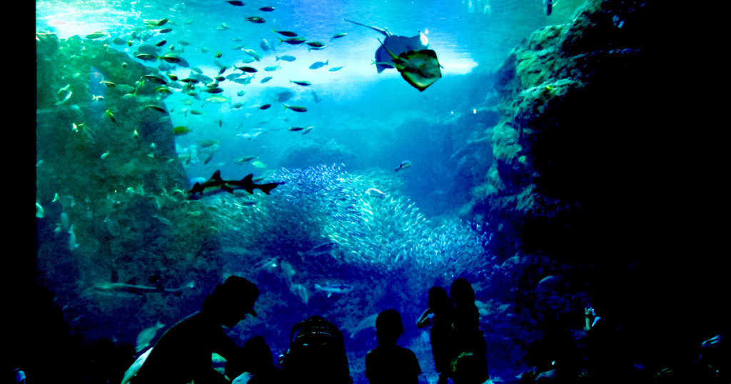 江ノ島水族館