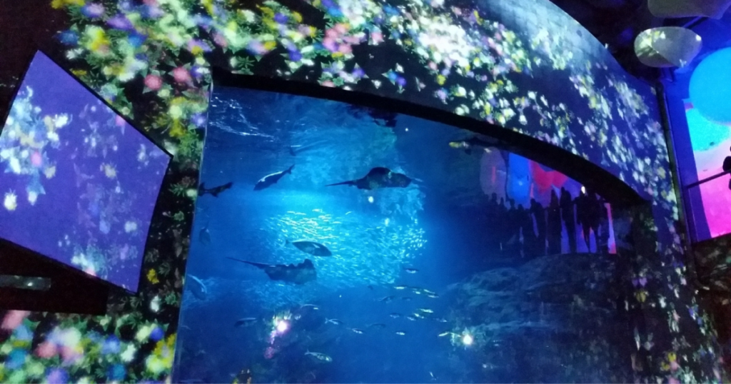 江ノ島水族館