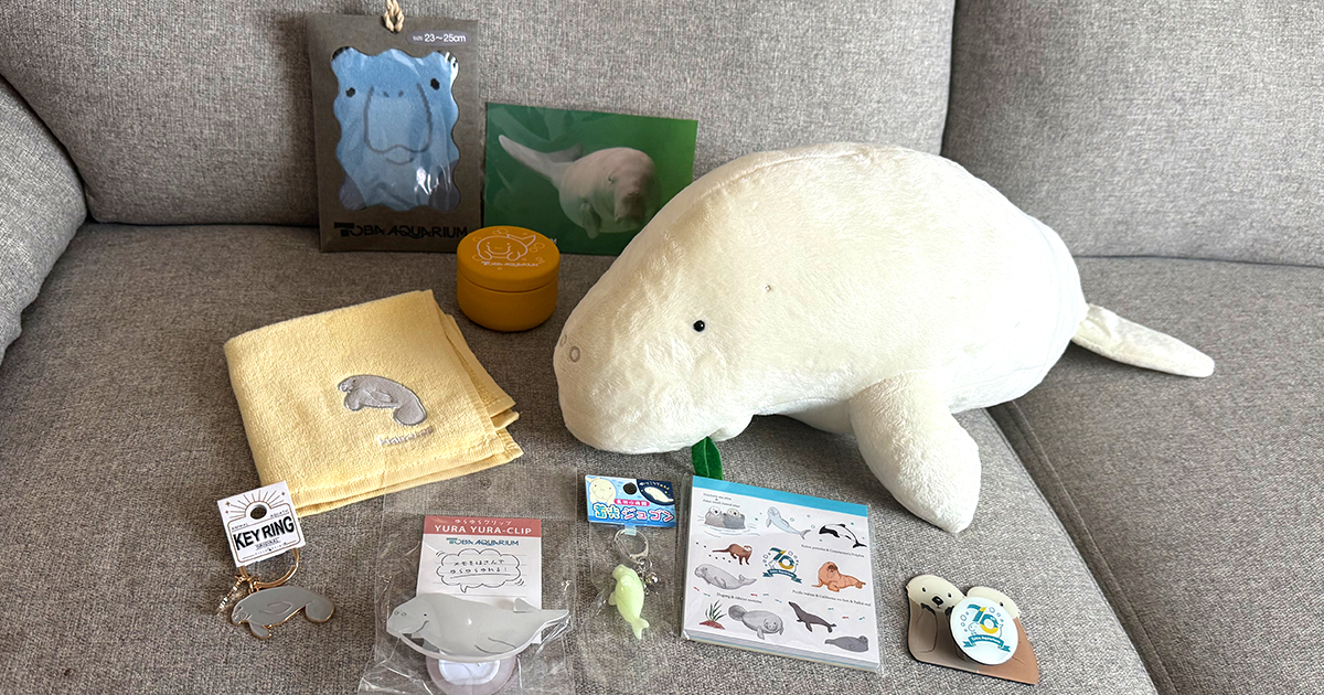 鳥羽水族館　70周年記念　ジュゴン　セレナ　ぬいぐるみ Amazon.co.jp: 鳥羽水族館70周年記念ジュゴン セレナ ぬいぐるみ