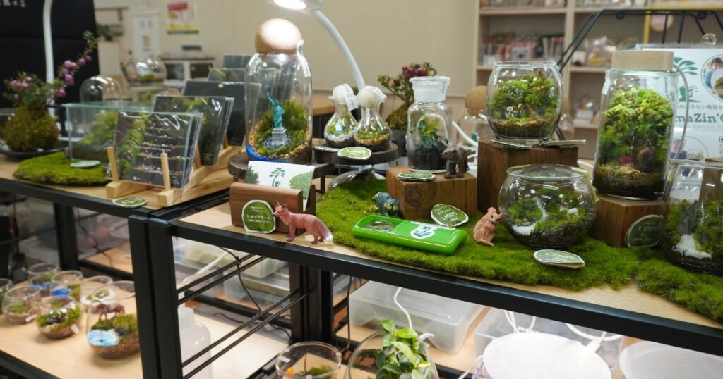 たくさんの苔テラリウム