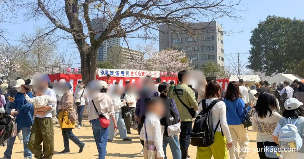 2025年の妙法寺川さくらまつりの時の様子