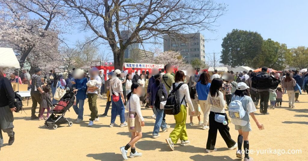 小さなお子様から高齢者まで多くの人で賑わいます