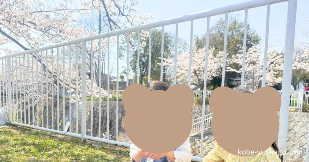 桜満開の中、持参したお弁当を食べました