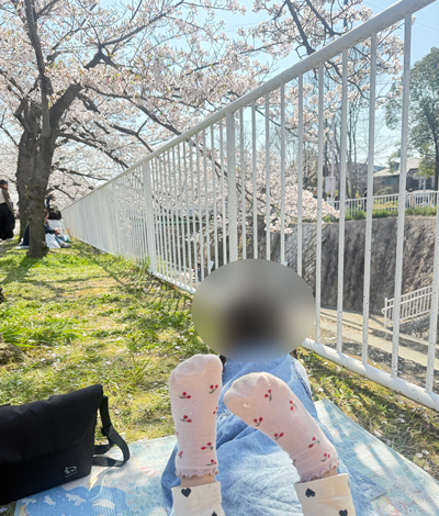 桜の下でのんびり日向ぼっこ
